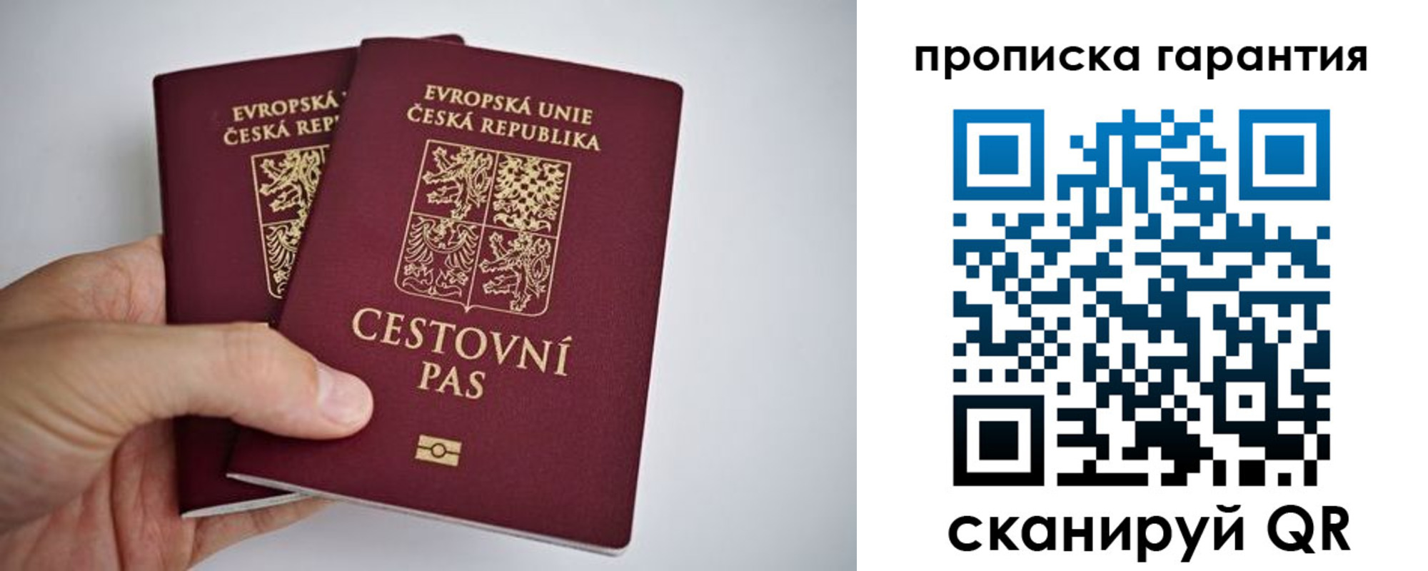прописка в Новом Осколе